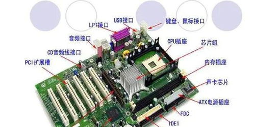 计算机硬件的组成、功能与发展